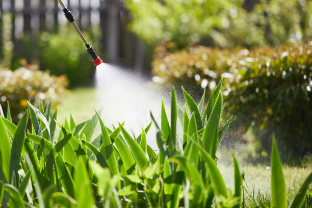 24/7 Emergency Mosquito Control experts in Lake Tapps, WA